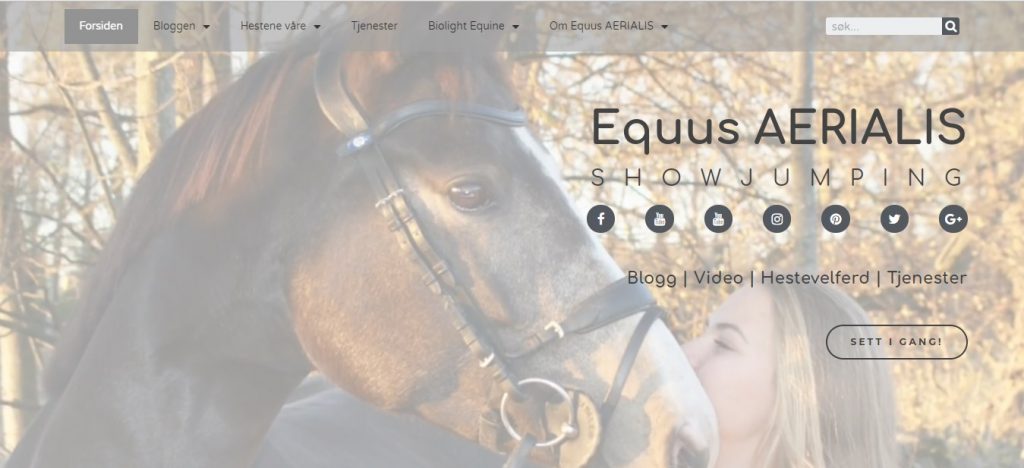 Equus AERIALIS - webdesign portfolio
