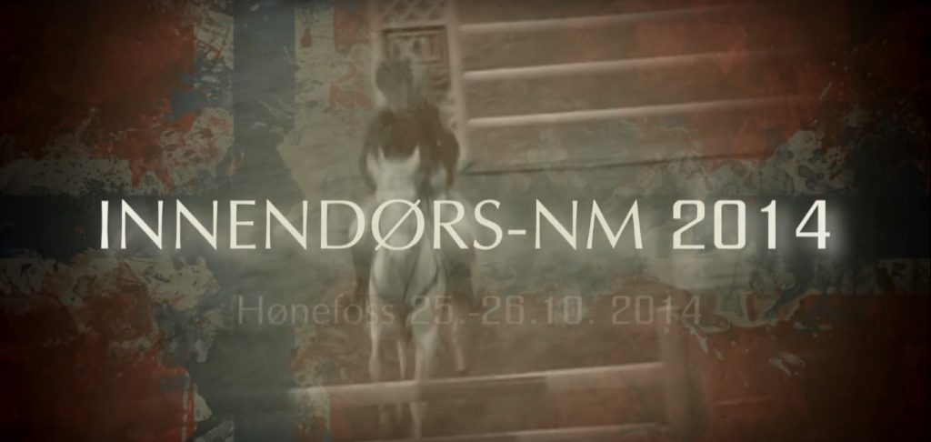 INM 2014 - video portfolio