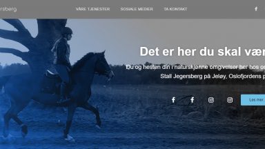 Stall Jegersberg – webdesign portfolio Stall Jegersberg - webdesign portfolio